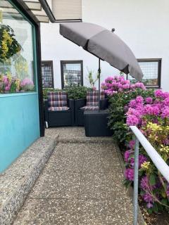 Apartment mit Wintergarten und Terrasse in ruhiger Lage im schönen Taunus - Glashütten - 5