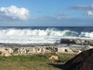 Oceans Edge - Hermanus Beach Club - Hermanus - 8