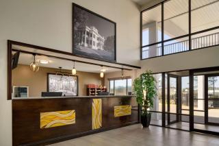 Super 8 by Wyndham Biloxi Ocean Springs - Ocean Springs - 7