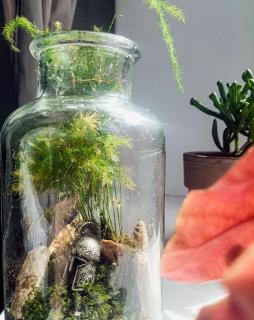 Friendly little studio - Brasov - 6