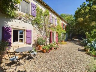 Maison Littré - Piscine chauffée - Au calme entre vignes et forêt - Castelnau-de-Montmiral - 3