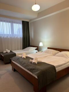 Hotel Vesta Centrum Konferencyjno Wypoczynkowe - Jeleśnia - 3