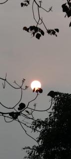 Clive Ten Resorts Athirapilly - 8