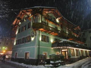 Hotel Alpina - Pinzolo - 9