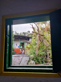 BOSQUE DE NIEBLA - 4