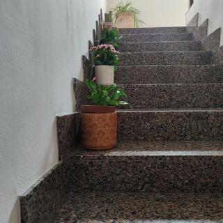 Villa Francesca - Solarolo - 1