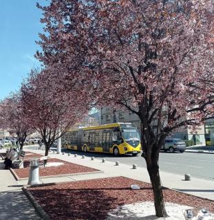 Apartman Behar Otoka Sarajevo - 8