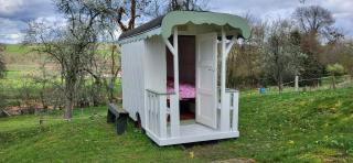 Petit a Petit - gypsy wagons and Bell tents in the Bourgogne - Saisy - 5
