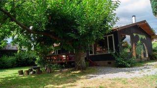 Casa Dalpa Pucón - Pucón - 8