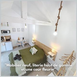 Le Jardin des Plantes Rouen Studios et F2 au calmes, Terrasse, stationnement gratuit - Rouen - 7
