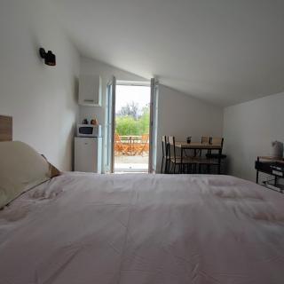 Chambre d'hôtes - Rians - 7