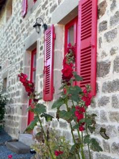 Auverg'Nature, suite Myrtilles - Espinasse - 1