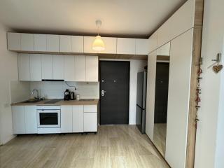 Miraculous Luxury Apartment - Bucharest - 5