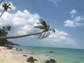 Villa Monaco - Koh Samui - 8