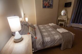 Banyan tree - Buxton - 8