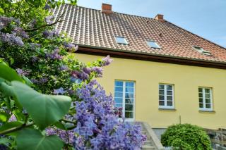 Gutshaus Neu Necheln - Brüel - 7