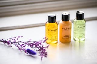 Dunfallandy House Hotel - 1