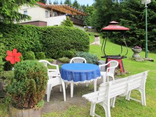 Holiday Home Aurora-2 by Interhome - Kurort Steinbach-Hallenberg - 9