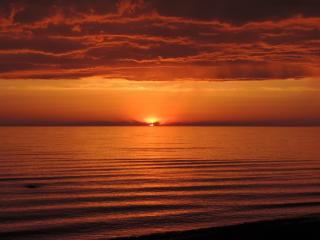 Woodland Cedars Family Cottage Resort - Wasaga Beach - 0