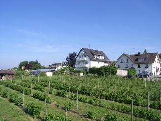 Obst- Und Ferienhof Marschall - Wasserburg - 7