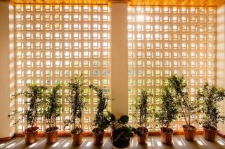 Căn villa 17 ngủ trung tâm bãi cháy - có bể bơi - 2