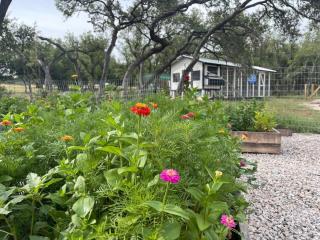Schoaf Cottage at Wrenwood Ranch - Johnson City - 8