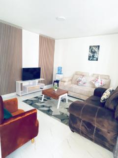 Omuts classy one bedroom Ruaka - Nairobi - 7