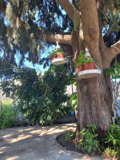 Maria's garden house - Archangelos - 4