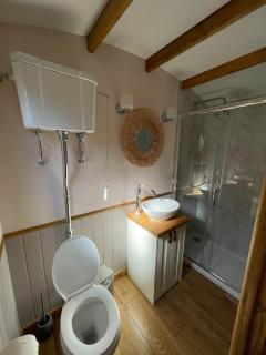 Hafod Shepherd Hut - Aberystwyth - 1