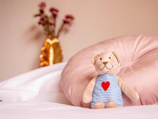 Hotel Bom - Burgh Haamstede - 6