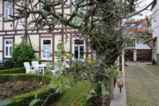 Kastanienallee 43 - Ilsenburg - 7