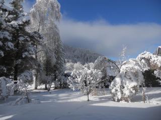 Apartment Mitterkopf by Interhome - 9