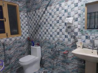 The Fig tree homestay - Srinagar - 8