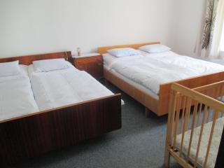 Holiday Home Pod Ostaší by Interhome - Police nad Metují - 5