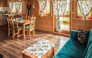 Awesome Home In Slopnice With Sauna - Słopnice - 7