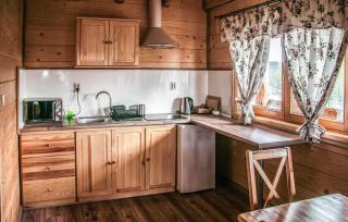 Awesome Home In Slopnice With Sauna - Słopnice - 3
