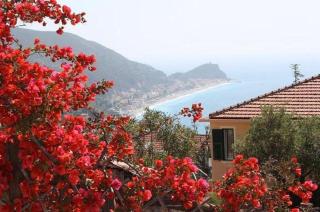Agriturismo La Realidad - Finale Ligure - 3