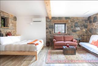 Studio Guest Suite in Forest Cottage - Tryon - 4