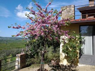Agriturismo Fattoio alle Ripe - Pelago - 2
