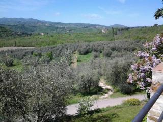 Agriturismo Fattoio alle Ripe - Pelago - 1