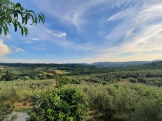 Agriturismo Fattoio alle Ripe - Pelago - 8