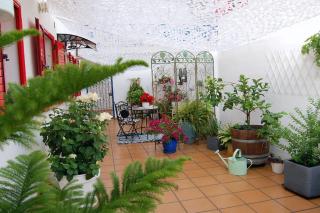 Espectacular Estudio Loft Chill Out by the sea - Almuñécar - 1
