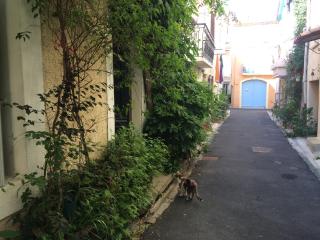 La petite Glycine - Sérignan - 7
