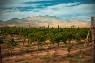 Barbie Dome - Willcox - 7
