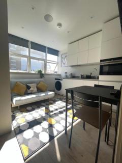 Inviting Studio Apartment - Central Croydon London - Londres - 1
