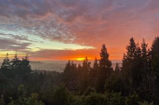 Hummingbird Hideout - Port Orford - 5