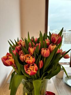 Altoria Active Gdynia - 3