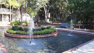 Hidden Dunes Beach Cottage 149 - Destin - 6