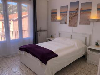 T3 VALLESPIR AMELIE LES BAINS - Amélie-les-Bains-Palalda - 5