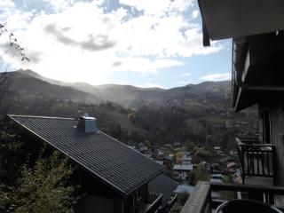 Résidence Les Fermes De Saint Gervais - Fermes de Saint Gervais B25 MAE-5221 - Saint-Gervais-les-Bains - 2